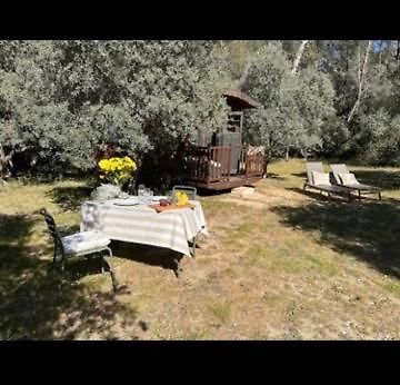 Roulotte / Tiny House Dans Les Alpilles Hotel Saint-Rémy-de-Provence Exterior foto